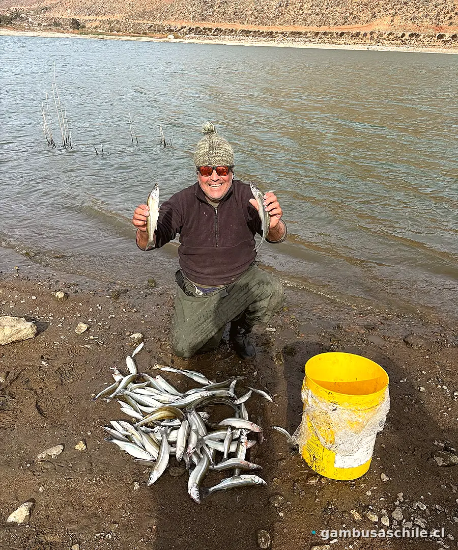 Pescador con la pesca del día a orillas del lago