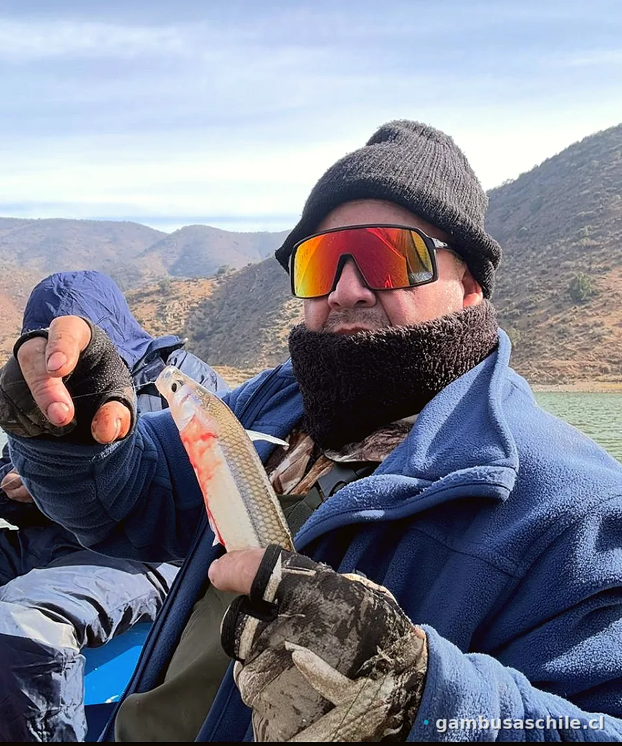 Pescador en el bote con la carnada lista